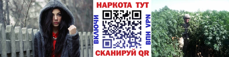 Купить закладку Cocaine Амфетамин ГАШИШ Конопля Меф мяу мяу СОЛЬ Нефтекумск