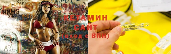 трава Дмитриев
