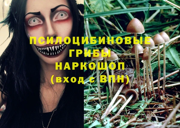 трава Дмитриев