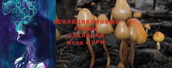 мдма Дмитров
