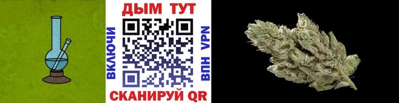Бошки Шишки конопля  Купить закладки  Нефтекумск 
